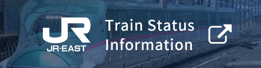 Train Status Information